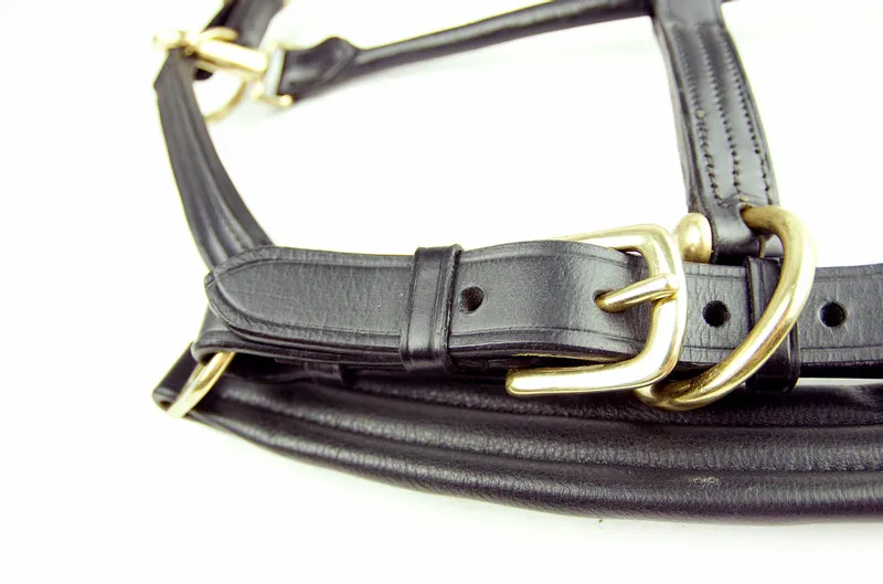 Dever Ascot Padded Leather Head Collar Black-2